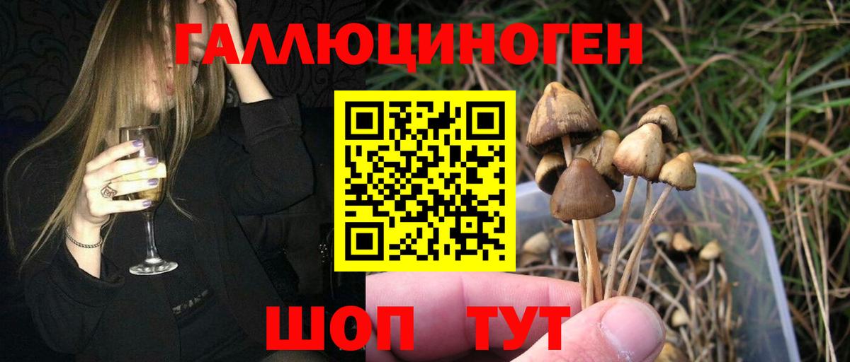 Новотроицк  Галлюциногенные грибы Cubensis  Вход с VPN 